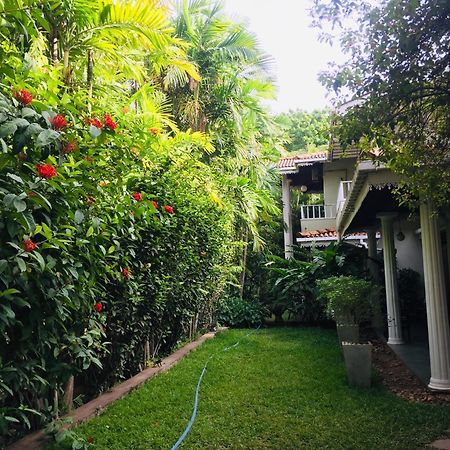 קטרגמה Hotel Sunflower מראה חיצוני תמונה
