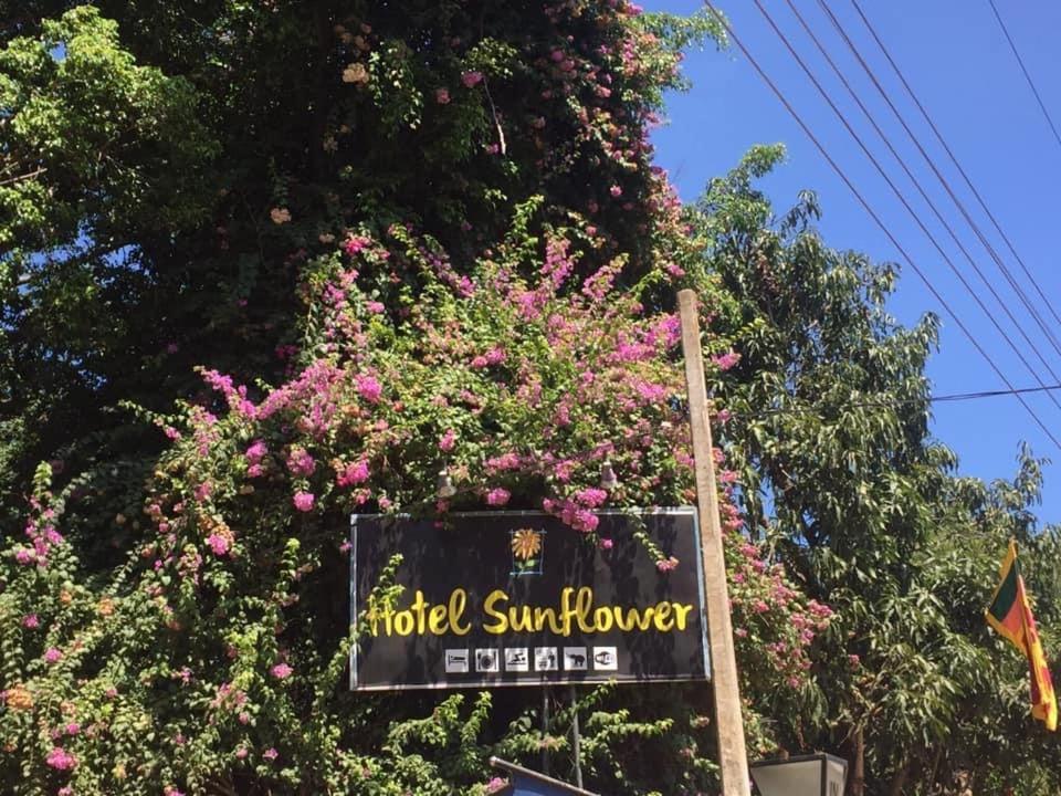 קטרגמה Hotel Sunflower מראה חיצוני תמונה