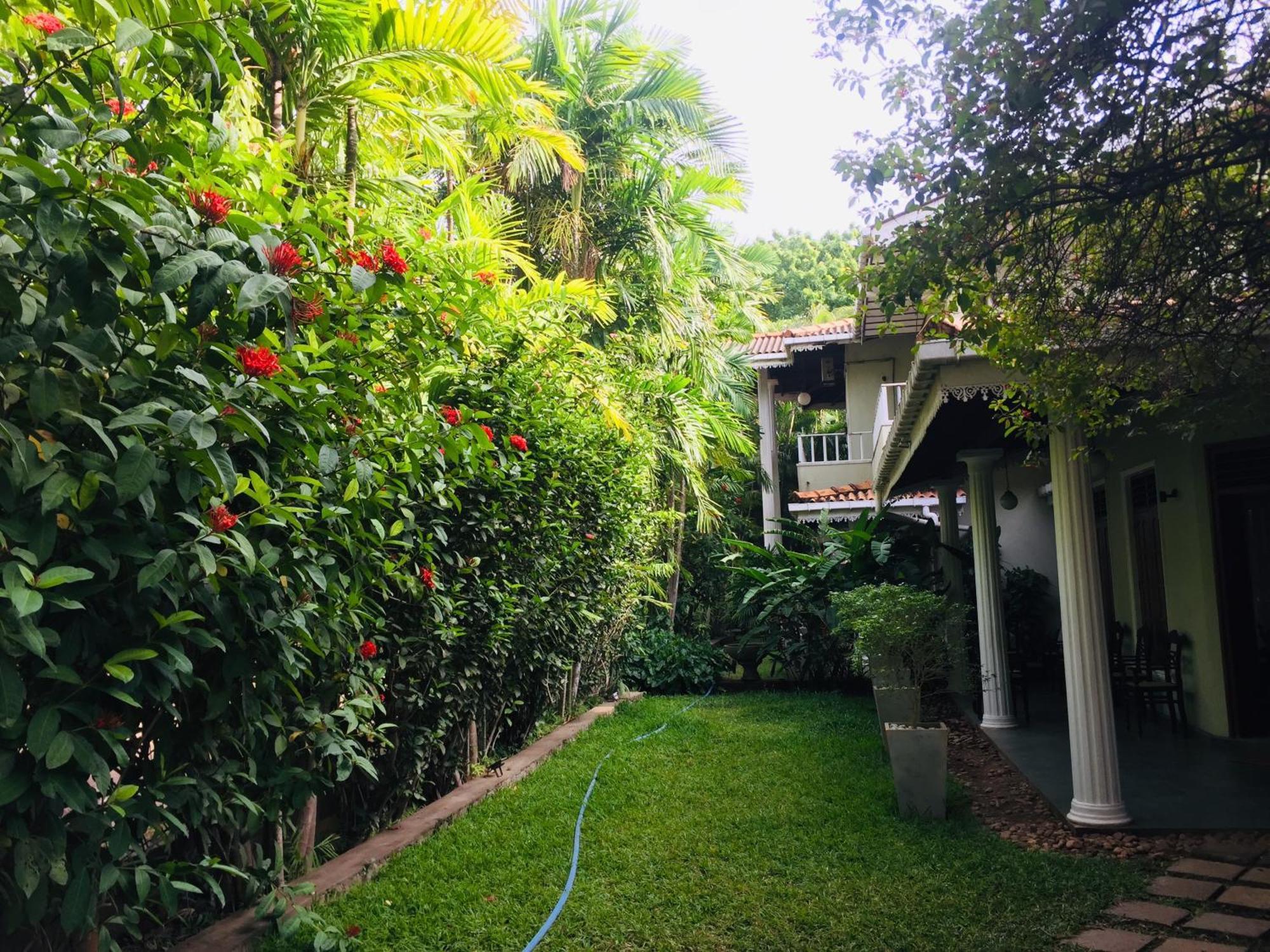 קטרגמה Hotel Sunflower מראה חיצוני תמונה