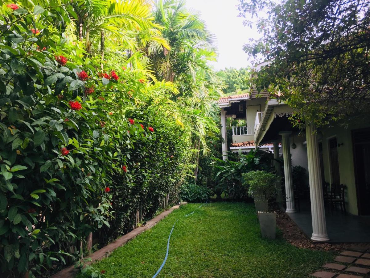 קטרגמה Hotel Sunflower מראה חיצוני תמונה